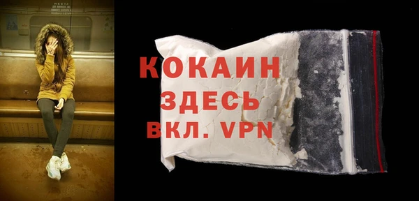 стаф Кулебаки