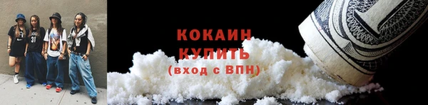 мдпв Кукмор