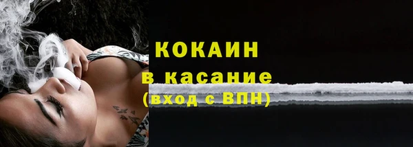 стаф Кулебаки