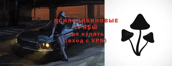 мдпв Кукмор
