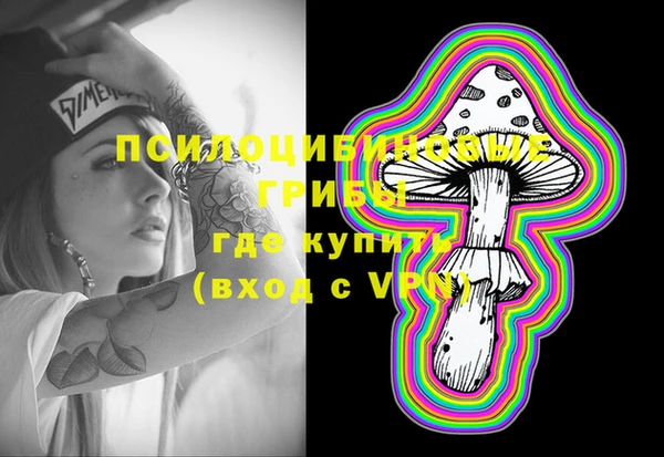стаф Кулебаки