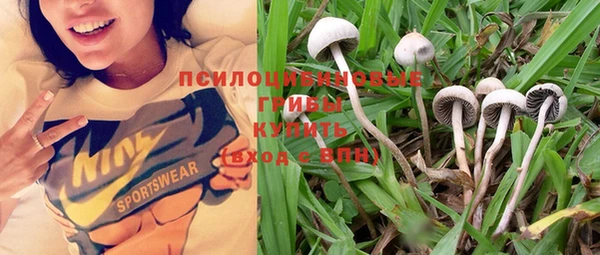 мдпв Кукмор