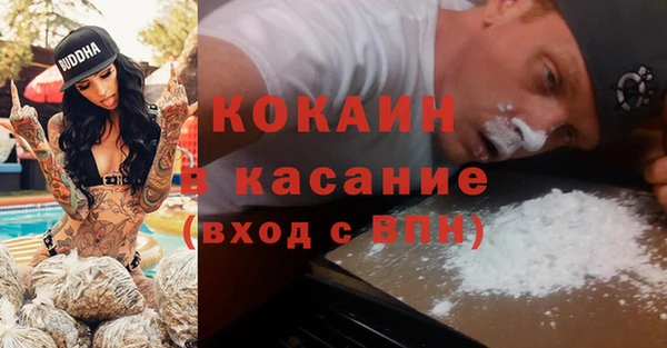 стаф Кулебаки