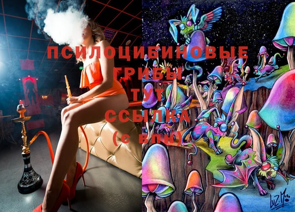мдпв Кукмор