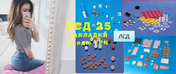 стаф Кулебаки